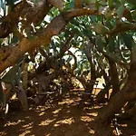 Masseria Celano * غروتاليي