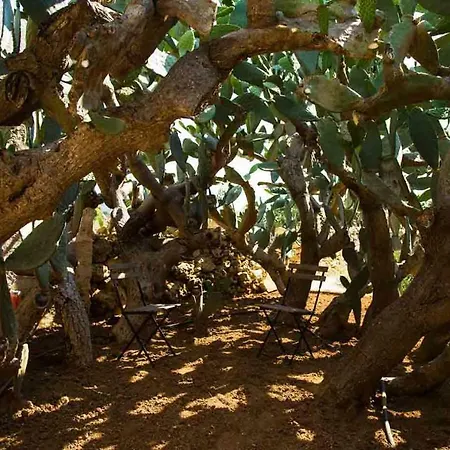 Masseria Celano * Grottaglie